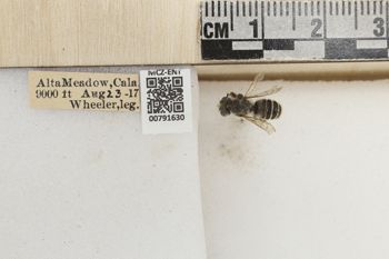 Media type: image;   Entomology 791630 Aspect: Labels